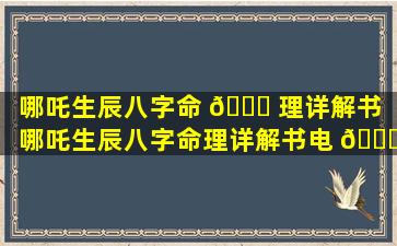 哪吒生辰八字命 🐛 理详解书（哪吒生辰八字命理详解书电 🐕 子版）